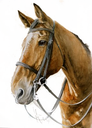 Afbeelding voor categorie Paarden