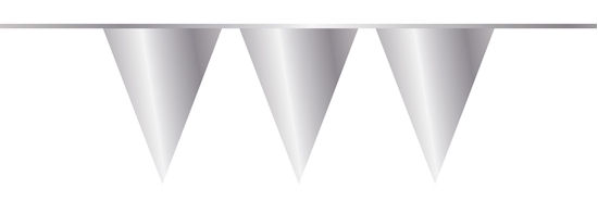 Afbeelding van Vlaggenlijn zilver 10 meter