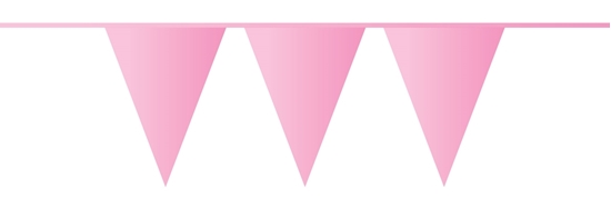 Afbeelding van Vlaggenlijn baby roze 10 meter