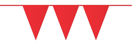 Afbeelding van Vlaggenlijn Rood 10 meter