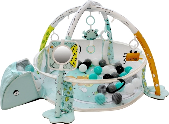 Afbeelding van Tryco Ball Pit Activity Gym - Frog