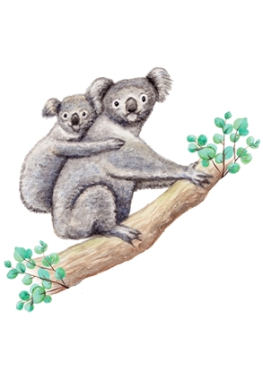 Afbeeldingen van Muursticker Koala 60x60 cm