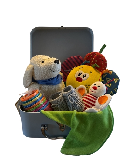 Afbeelding van Gevuld Kadokoffertje Speel & Ontdek – Kleurrijk Babycadeau